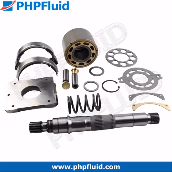 Parti sostitutive della pompa a pistone idraulica Sauer PV90r42 PV90r55 PV90r75